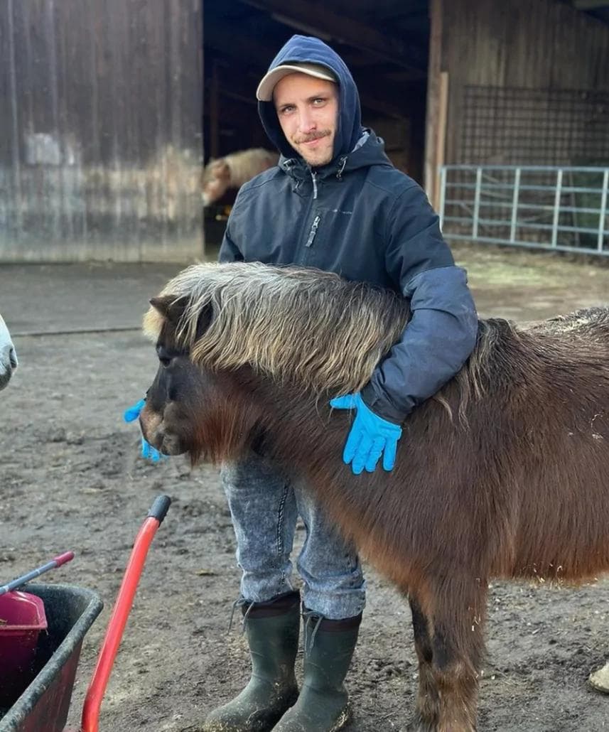 Freiwilligenarbeit bei Lebenshof Pegasus
