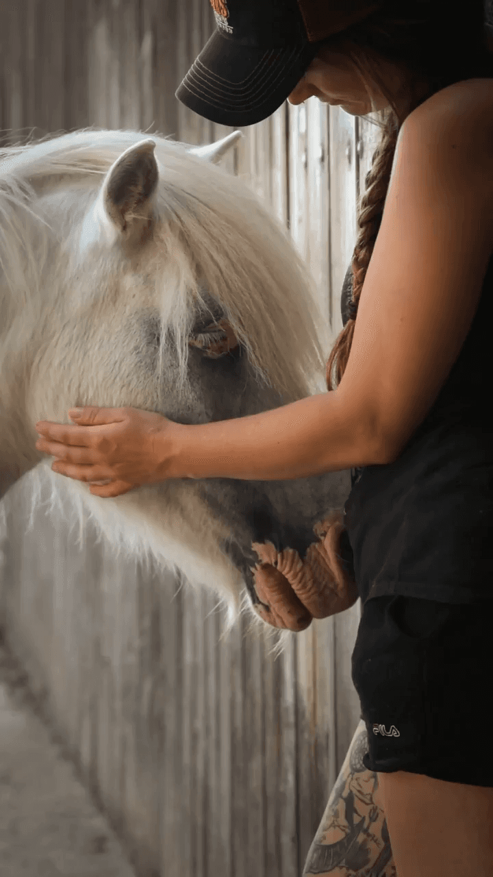 Lebenshof Pegasus - Tierpatenschaften, werden Sie Pate und unterstützen Sie ein Tier