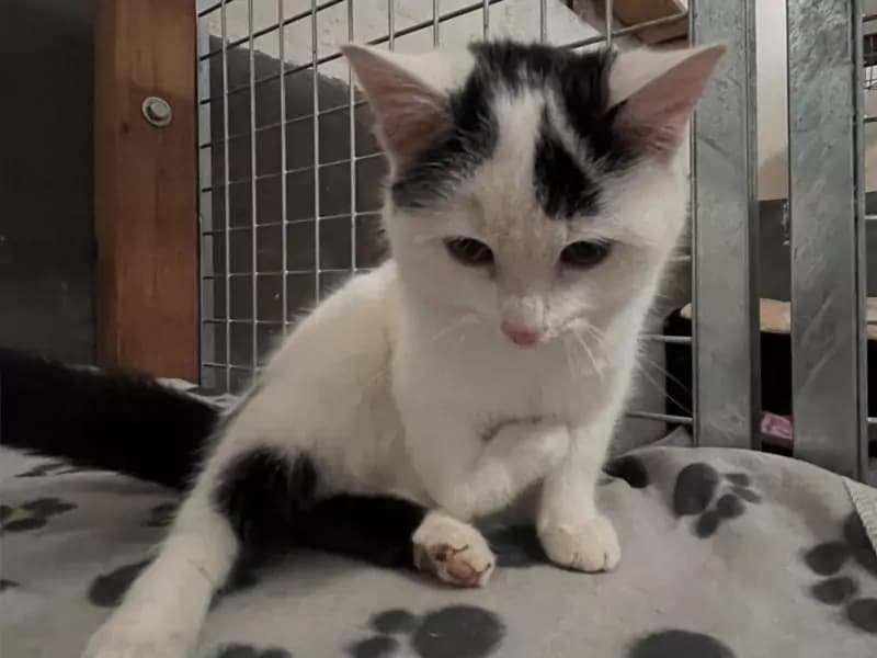 Ein neues kleines Herz auf unserem Lebenshof