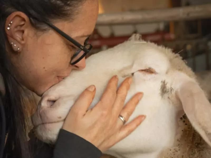 Dringend helfende Hände gesucht