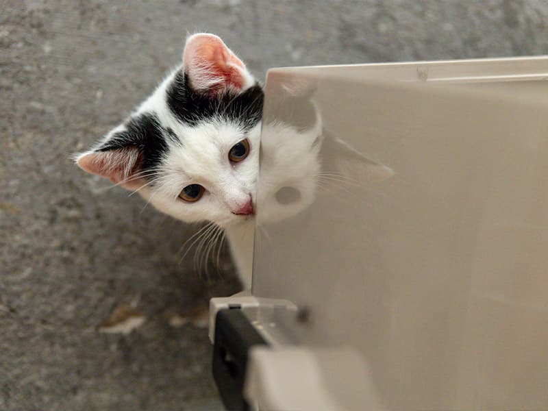 Eine kleine Familie zieht bei uns ein