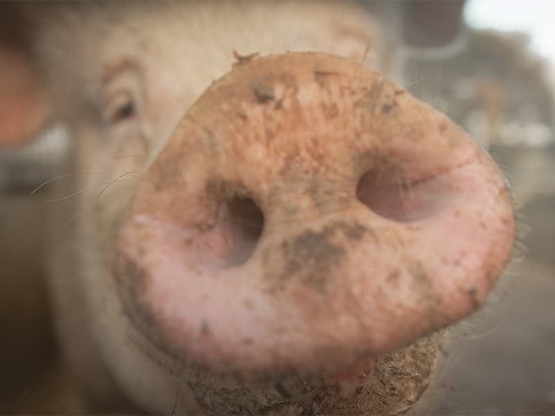 Ein neuer Weg für Greta & Freitag